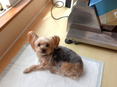 DSCF0810.JPG