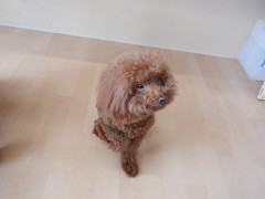 DSCF0816.JPG