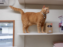 DSCF0833.JPG