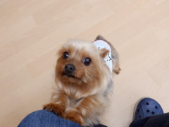 DSCF0838.JPG