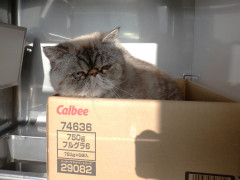 DSCF0845.JPG