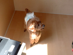 DSCF0855.JPG