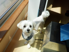 DSCF0854.JPG