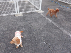 DSCF0869.JPG