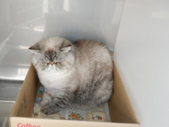 DSCF0860.JPG