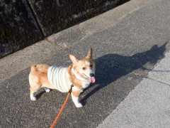 DSCF0992.JPG