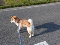 DSCF0996.JPG