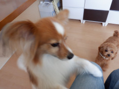 DSCF1004.JPG