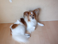 DSCF1006.JPG