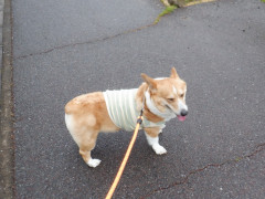 DSCF1008.JPG