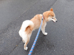 DSCF1013.JPG