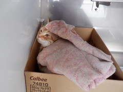 DSCF1050.JPG