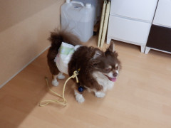 DSCF1052.JPG