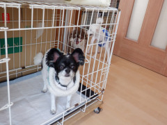 DSCF1055.JPG
