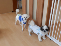 DSCF1059.JPG