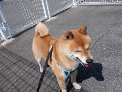 DSCF1090.JPG