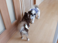 DSCF1104.JPG