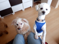 DSCF1096.JPG