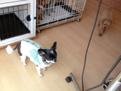 DSCF1099.JPG