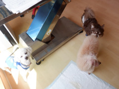 DSCF1084.JPG