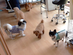 DSCF1111.JPG