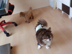 DSCF1098.JPG
