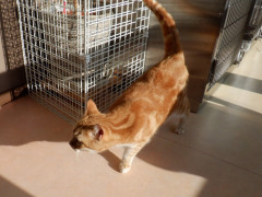 DSCF1113.JPG
