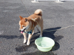 DSCF1134.JPG