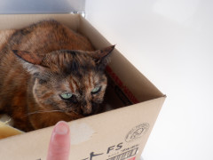 DSCF1149.JPG