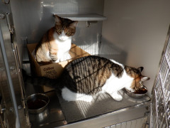 DSCF1159.JPG