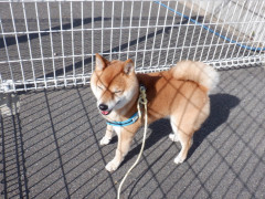 DSCF1177.JPG