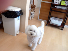 DSCF1182.JPG