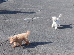 DSCF1171.JPG