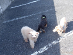 DSCF1165.JPG
