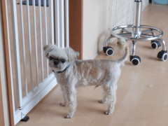 DSCF1226.JPG