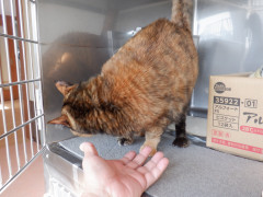 DSCF1228.JPG