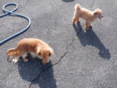 DSCF1240.JPG