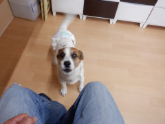 DSCF1242.JPG