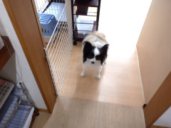 DSCF1245.JPG