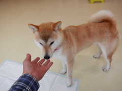 DSCF1249.JPG