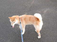 DSCF1253.JPG