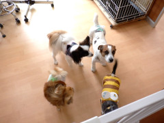 DSCF1289.JPG