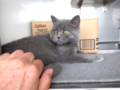 DSCF1281.JPG