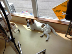 DSCF1276.JPG