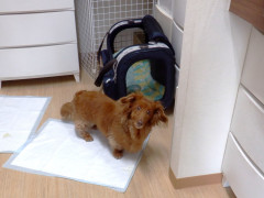 DSCF1273.JPG