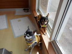 DSCF1271.JPG