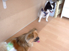 DSCF1268.JPG