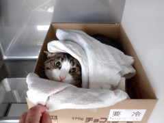 DSCF1290.JPG