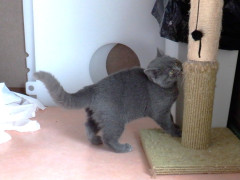 DSCF1302.JPG