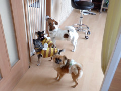 DSCF1305.JPG